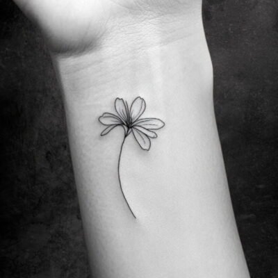 Fine Line flores 2