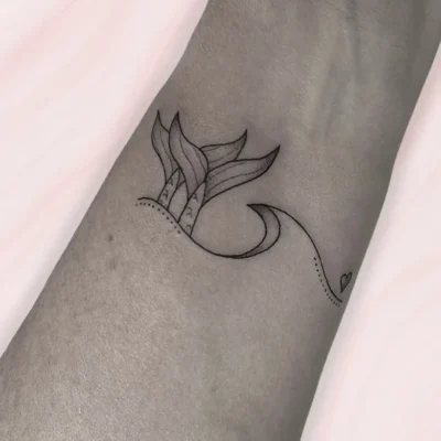 Línea fina (14) Línea fina (14)