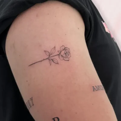 Línea fina (22) Línea fina (22)