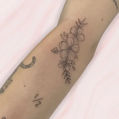 Línea fina (29) Línea fina (29)