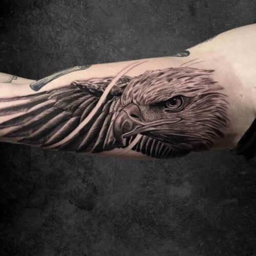 PST - Jaime.Realismo (10)