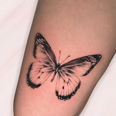 Blackwork (12) Blackwork (12)