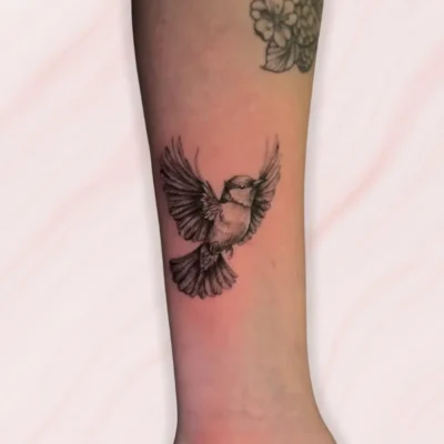 Microrealismo (15) Microrealismo (15)