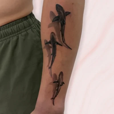 Microrealismo (16) Microrealismo (16)