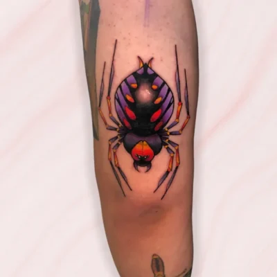 neotradicional (11) neotradicional (11)