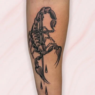 neotradicional (12) neotradicional (12)