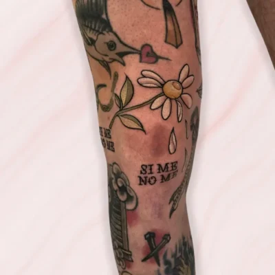 neotradicional (16) neotradicional (16)