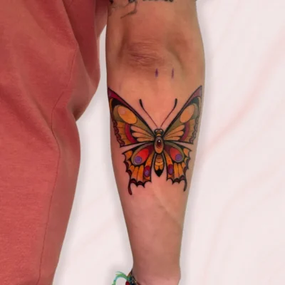 neotradicional (17) neotradicional (17)