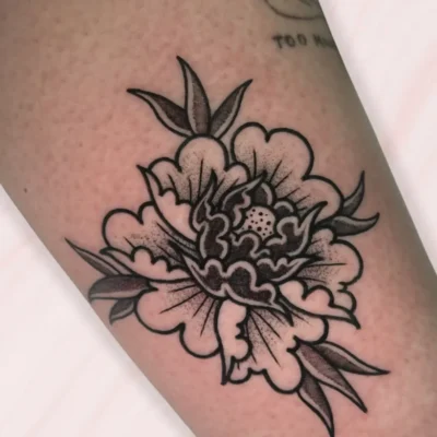 neotradicional (3) neotradicional (3)