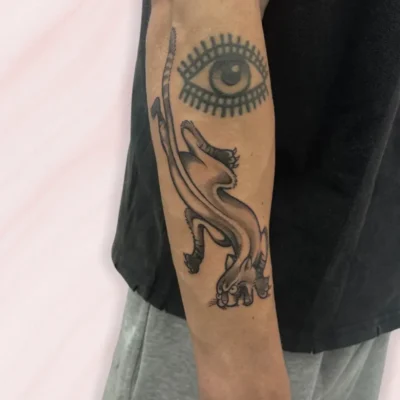 neotradicional (6) neotradicional (6)